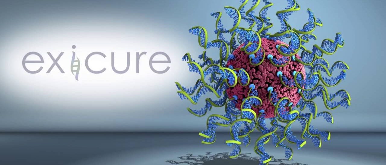 slide-exicure-cover