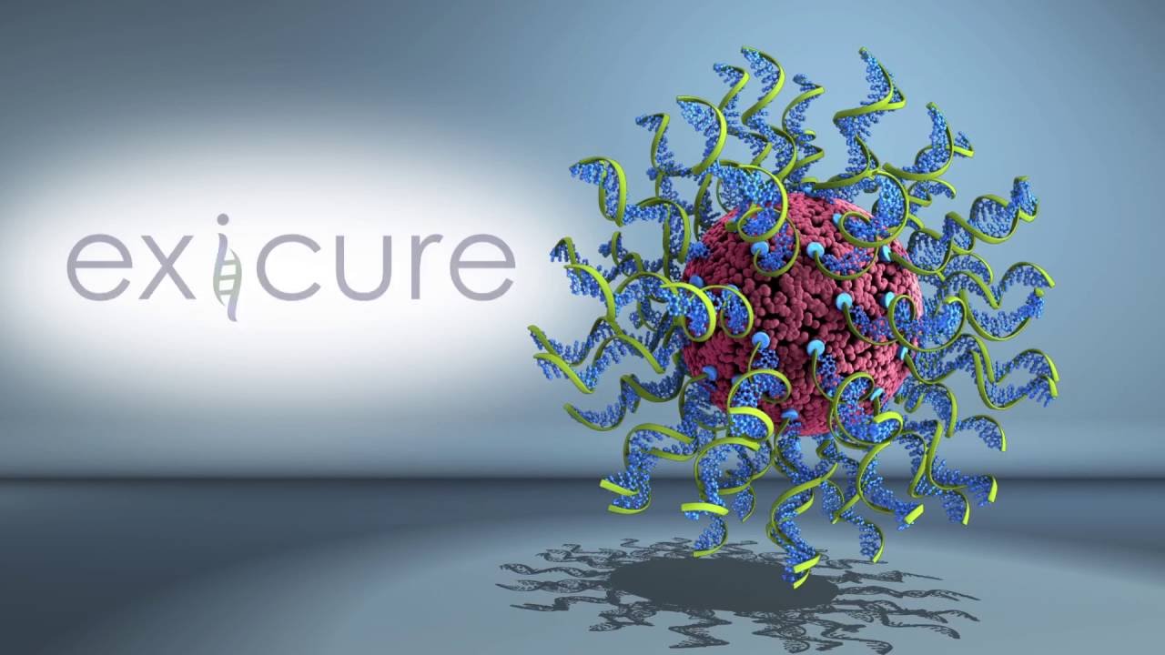slide-exicure-cover