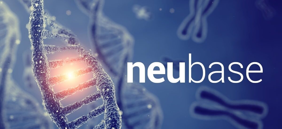 slide-neubase-cover
