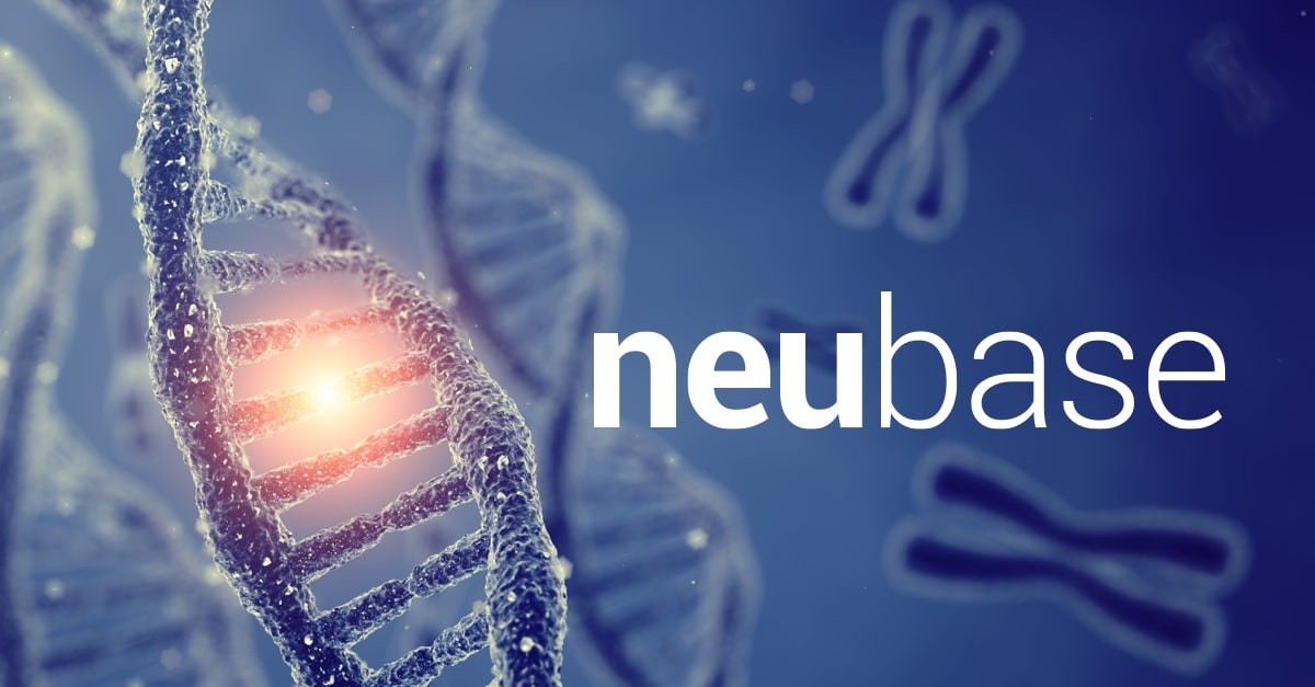 slide-neubase-cover